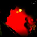 IMG_6133
