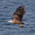 IMG_8688