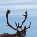 IMG_9073