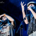 IMG_8642